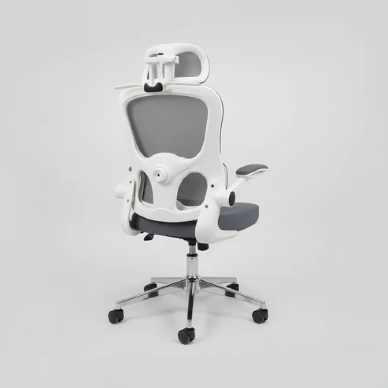 Chaise ergonomique royaume